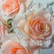 ヒメ日記 2026/04/06 16:48 投稿 みさえ 熟女の風俗最終章 沼津店