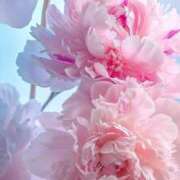 ヒメ日記 2026/04/06 17:08 投稿 みさえ 熟女の風俗最終章 沼津店