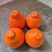 ヒメ日記 2026/04/08 09:48 投稿 みさえ 熟女の風俗最終章 沼津店