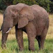 ヒメ日記 2025/12/23 08:53 投稿 いとか Queen Angel(クイーンエンジェル)