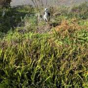 ヒメ日記 2026/04/03 19:04 投稿 いとか Queen Angel(クイーンエンジェル)