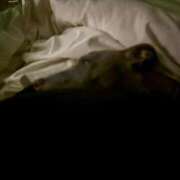 ヒメ日記 2026/04/21 21:56 投稿 いとか Queen Angel(クイーンエンジェル)