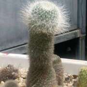 ヒメ日記 2025/08/14 08:14 投稿 加納 鶯谷人妻城