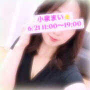 ヒメ日記 2025/06/21 10:51 投稿 小泉まい 癒されるワイフ