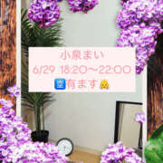 ヒメ日記 2025/06/29 18:24 投稿 小泉まい 癒されるワイフ