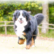 ヒメ日記 2025/07/18 15:35 投稿 小泉まい 癒されるワイフ