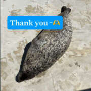 ヒメ日記 2025/08/10 11:25 投稿 小泉まい 癒されるワイフ