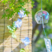 ヒメ日記 2025/08/23 19:43 投稿 小泉まい 癒されるワイフ