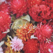 ヒメ日記 2025/11/12 14:39 投稿 小泉まい 癒されるワイフ