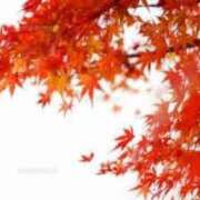 糸井厚子 今回の出勤も残り４日間 五十路マダム姫路店