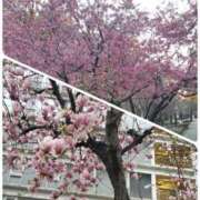 糸井厚子 お誘い待ってます。 五十路マダム姫路店