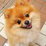 ヒメ日記 2025/07/21 20:05 投稿 こはる 小岩人妻花壇