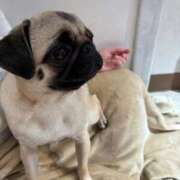 あむ【シルバーアロー】 かわいい💗 Arrows 苫小牧・千歳店