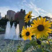 ヒメ日記 2025/06/30 10:12 投稿 ほたる【静かに惹かれていく存在】 LIPS(リップス)