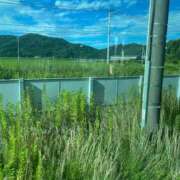 ヒメ日記 2025/07/27 12:20 投稿 ほたる【静かに惹かれていく存在】 LIPS(リップス)