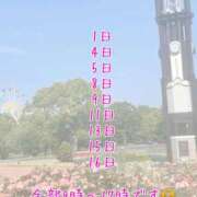 ヒメ日記 2025/07/31 20:13 投稿 ほたる【静かに惹かれていく存在】 LIPS(リップス)