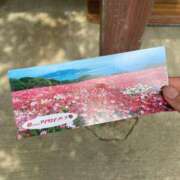 ヒメ日記 2025/08/06 22:02 投稿 ほたる【静かに惹かれていく存在】 LIPS(リップス)