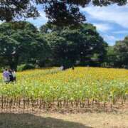 ヒメ日記 2025/08/12 07:41 投稿 ほたる【静かに惹かれていく存在】 LIPS(リップス)