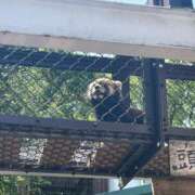 ヒメ日記 2025/08/20 20:03 投稿 ほたる【静かに惹かれていく存在】 LIPS(リップス)