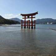 ヒメ日記 2025/11/06 21:02 投稿 ほたる【静かに惹かれていく存在】 LIPS(リップス)