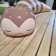 ヒメ日記 2025/11/07 20:23 投稿 ほたる【静かに惹かれていく存在】 LIPS(リップス)