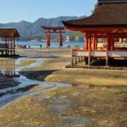 ヒメ日記 2025/11/16 21:56 投稿 ほたる【静かに惹かれていく存在】 LIPS(リップス)