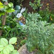 ヒメ日記 2026/01/04 08:45 投稿 ほたる【静かに惹かれていく存在】 LIPS(リップス)