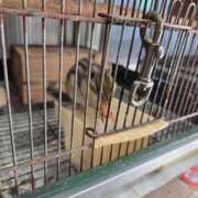 ヒメ日記 2026/02/06 20:59 投稿 ほたる【静かに惹かれていく存在】 LIPS(リップス)