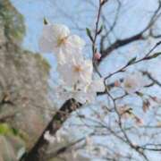 ヒメ日記 2026/04/06 19:55 投稿 ほたる【静かに惹かれていく存在】 LIPS(リップス)