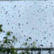 ヒメ日記 2026/04/12 20:35 投稿 ほたる【静かに惹かれていく存在】 LIPS(リップス)