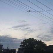 ほたる【静かに惹かれていく存在】 夕方の涼しさ✨ LIPS(リップス)