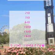 ヒメ日記 2026/09/28 20:36 投稿 ほたる【静かに惹かれていく存在】 LIPS(リップス)