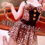 ヒメ日記 2025/07/10 00:44 投稿 ヨナお嬢様 M&m Maidとm男の夢物語。