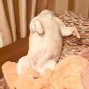 ヒメ日記 2025/06/18 04:24 投稿 しゅう 桃李（とうり）