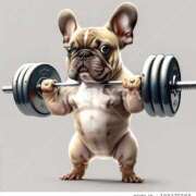 ヒメ日記 2025/06/21 04:24 投稿 しゅう 桃李（とうり）