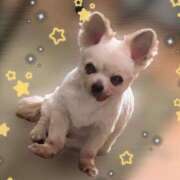 ヒメ日記 2025/06/23 01:24 投稿 しゅう 桃李（とうり）