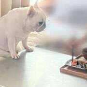 ヒメ日記 2025/06/29 04:24 投稿 しゅう 桃李（とうり）