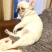 ヒメ日記 2025/07/02 18:14 投稿 しゅう 桃李（とうり）