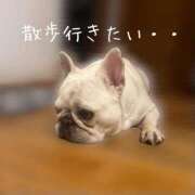 ヒメ日記 2025/07/08 06:14 投稿 しゅう 桃李（とうり）