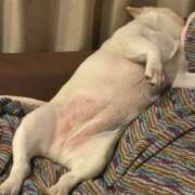 ヒメ日記 2025/07/24 05:21 投稿 しゅう 桃李（とうり）