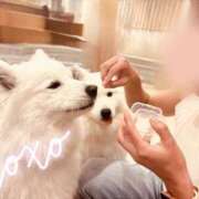 ヒメ日記 2025/08/06 05:34 投稿 しゅう 桃李（とうり）