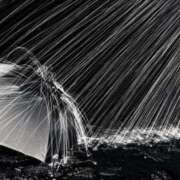 ヒメ日記 2025/08/08 13:16 投稿 しゅう 桃李（とうり）