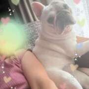 ヒメ日記 2025/08/14 17:24 投稿 しゅう 桃李（とうり）