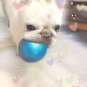 ヒメ日記 2025/09/18 17:04 投稿 しゅう 桃李（とうり）