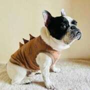 ヒメ日記 2025/10/02 05:24 投稿 しゅう 桃李（とうり）