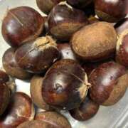 ヒメ日記 2025/10/13 17:14 投稿 しゅう 桃李（とうり）