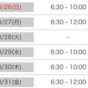 ヒメ日記 2025/10/14 16:44 投稿 しゅう 桃李（とうり）