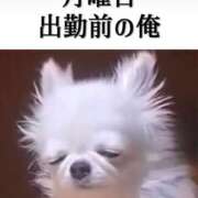 ヒメ日記 2025/10/20 04:24 投稿 しゅう 桃李（とうり）