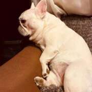 ヒメ日記 2025/10/30 05:18 投稿 しゅう 桃李（とうり）