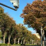 ヒメ日記 2025/11/03 08:14 投稿 しゅう 桃李（とうり）